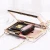 Import Wholesale Trendy Women Handbag Clear Clutch Evening Acrylic Bag With 1.2m Chain from China