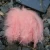 Import Whosale Macaron colors feathers for 12inch 18inch 24 inch 36 inch large bobo bubble clear balloons from China
