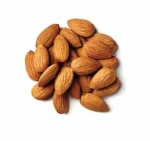 Wild bitter almond bitter apricot kernels