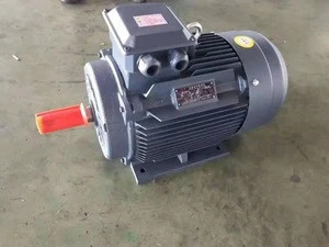 YE2/YX3 Universal custom electric AC motor