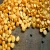 Import Yellow Split Peas from Ukraine