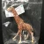 Import zoo souvenirs giraffe toy animals for kids museum from China