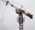 Import Zoomlion self erecting tower crane 4 ton mini tower crane from China
