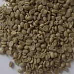 Green Coffee Beans Robusta Arabica from Vietnam