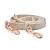 Import Pet Supply Soft dog collar with metal buckle pet accessoriesHot sale products from China