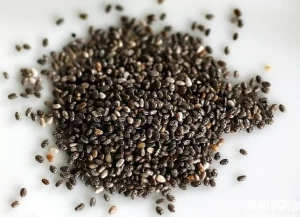 Natural Chia Seed Grains,Chia Seed Extract Powder