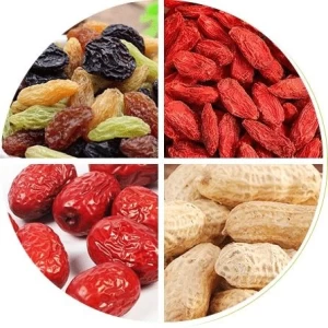 Dried Fruits Producer of Food Grains and Proteins