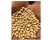 Import Premium Quality Soybean/ Soya Bean/ Soybeans Seeds. from South Africa