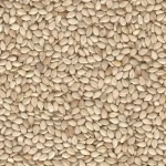 Sesame Seeds, Cashew Nuts Kernels, Shea Butter