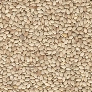 Sesame Seeds, Cashew Nuts Kernels, Shea Butter