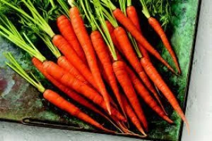 AGRI FRESH CARROTS, JUST SOME PROPOSALS OF OUR WIDE AVAILABILITY