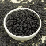 Black Kidney Beans Best Quality