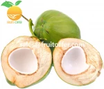 Coconut
