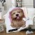 Import 3D Dog Sherpa Blanket Animal Fur Throw Blanket for children Brown Gray Bedding from China