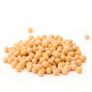 Soybean – corn and beans