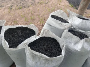PALM KERNEL SHELL CHARCOAL
