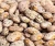 Import Factory Price Pinto Beans – Global Supplier | OEM Packaging from Kenya