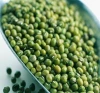 High Sprouting Rate Green Mung Bean Non-gmo Green Gram Seeds Dried Mung Bean for Sale