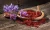 Import Persian Saffron from United Arab Emirates