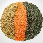 Red and Green Lentils
