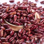Red kidney Sugar Beans