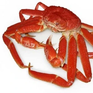 Snow Crab For Sale Online