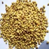 Coriander Seeds (Dhania / Kothmir)