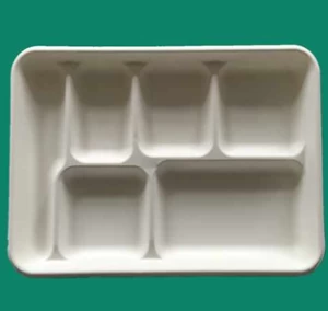 FT061 6-Compartment Tray