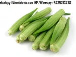 Fresh Okra With High Quality And Good Price