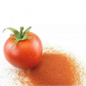 Fermented Lycopene Tomatoes Powder Factory Supply Natural Pigment Colour