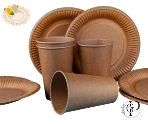 plates &cups
