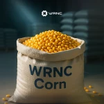 CORN - Brazil