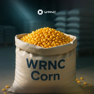 Corn Brazil Buy Corn - Brazil from W R N C COMMERCIAL BROKERS L.L.C, United Arab ...