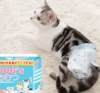 Cat diapers