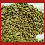 Lampung Robusta Coffee