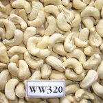 Cashew