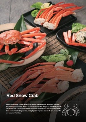 Frozen Red snow crab (Meat)
