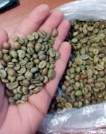 Premium Madagascar Green Coffee Beans