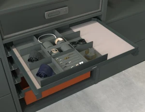 Accessories Storage Tray