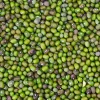Best Price for Mung Beans Wholesale Green Mung Beans High Quality Bulk Supply Available for Export and Wholesale