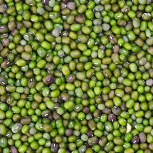 Best Price for Mung Beans Wholesale Green Mung Beans High Quality Bulk Supply Available for Export and Wholesale