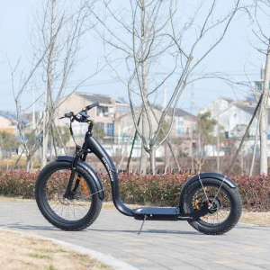 Sobowo Electric Scooter High Power Electric Bike