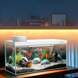 Factory Wholesale Smart Aquariums Small Glass Fish Tanks with Filter and Led Fish Tank Light