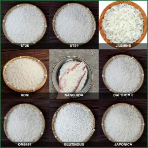 Vietnamese Rice ST25 Jasmine ST21 KDM Japonica Halal Certified OEM