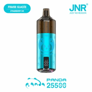 JNR Panda 25500 Puffs Premium High-Capacity Rechargeable Vape Ideal for Wholesale Buyers in Fukuoka & Global Markets