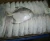 Import fresh frozen pomfret fish from South Africa