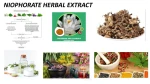 NIOPHORATE HERBAL EXTRACT