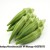 Import Fresh Okra With High Quality And Good Price from Vietnam