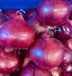 Cheap Wholesale High Quality Red Onion /Fresh Yellow Onions Non-Peeled Round Bulk Vegetable Bags 25kg EUDirect Supplier