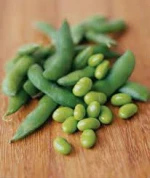 100% ORGANIC SOY FABRICS